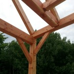 Douglas Fir Barn Frame 4