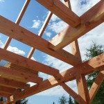 Douglas Fir Barn Frame 2